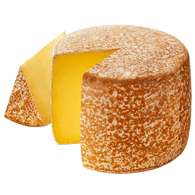 Fromage Cantal AOP