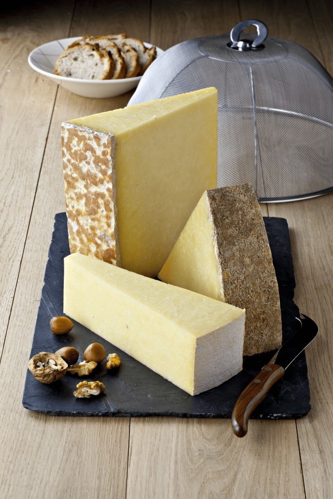 cantal fromage