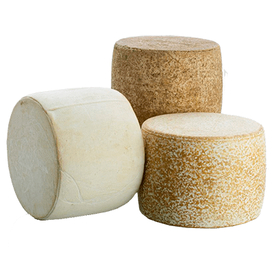 Fromage Cantal AOP